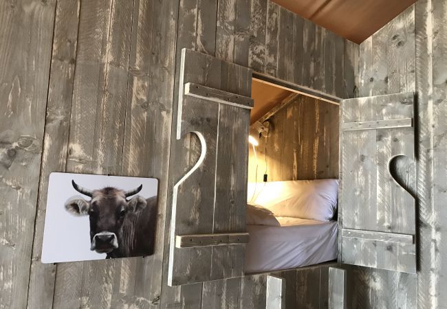 Bungalow in Idro - Safari Lodge Deluxe Bungalow in Idro - Safari Lodge Deluxe