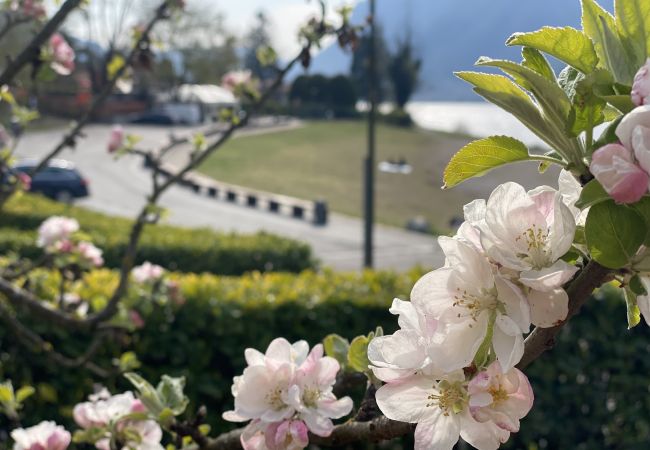 Appartamento a Idro - Casa Paola (Vesta) - primo piano Appartamento a Idro - Casa Paola (Vesta) - primo piano