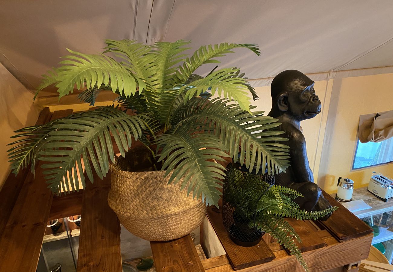 Bungalow in Idro - Jungle Lodge Deluxe Bungalow in Idro - Jungle Lodge Deluxe